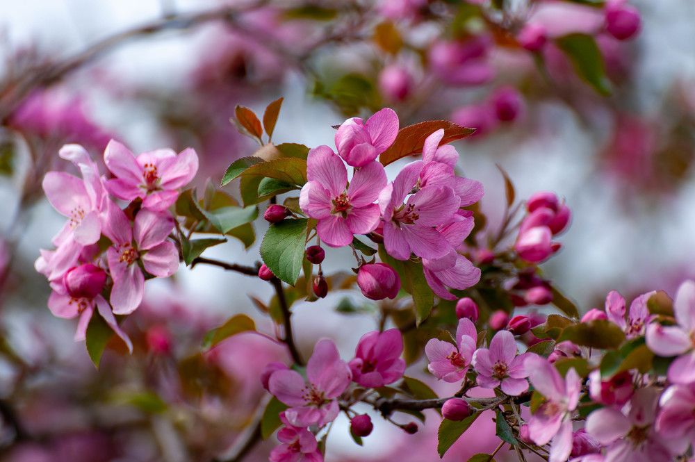 Photograph by Вадим Басов