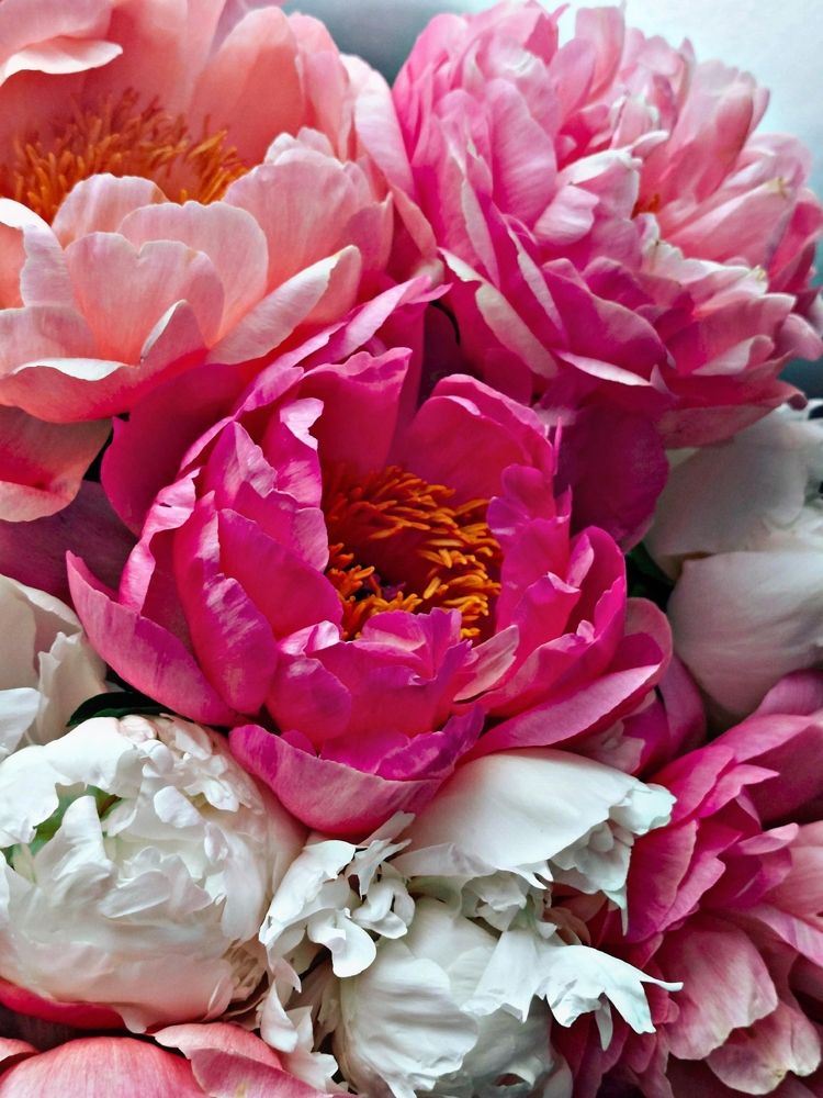 Photograph by Наталия Короленко