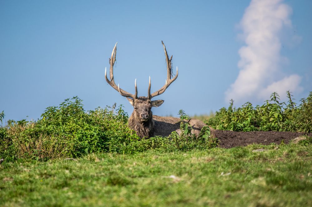 hot day in the north
