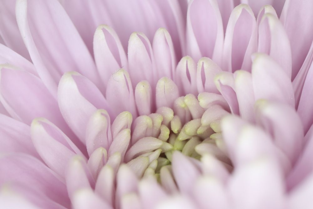 Photograph by Se Lena