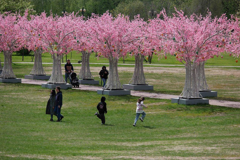 Photograph by Дмитрий Ткаченко