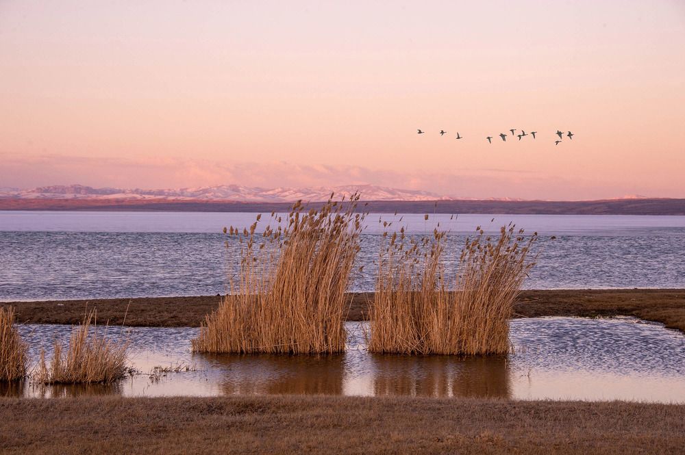 Photograph by Alexandr Myasnikov