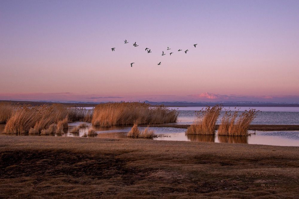 Photograph by Alexandr Myasnikov