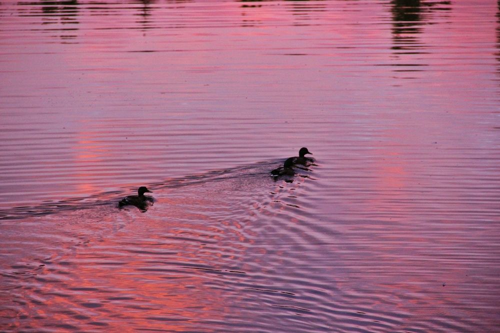 Photograph by Анна Любимова