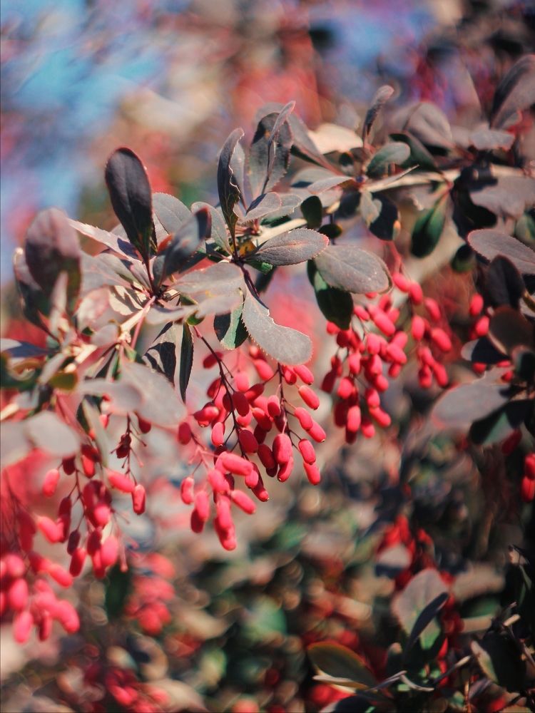 Photograph by Анна Любимова