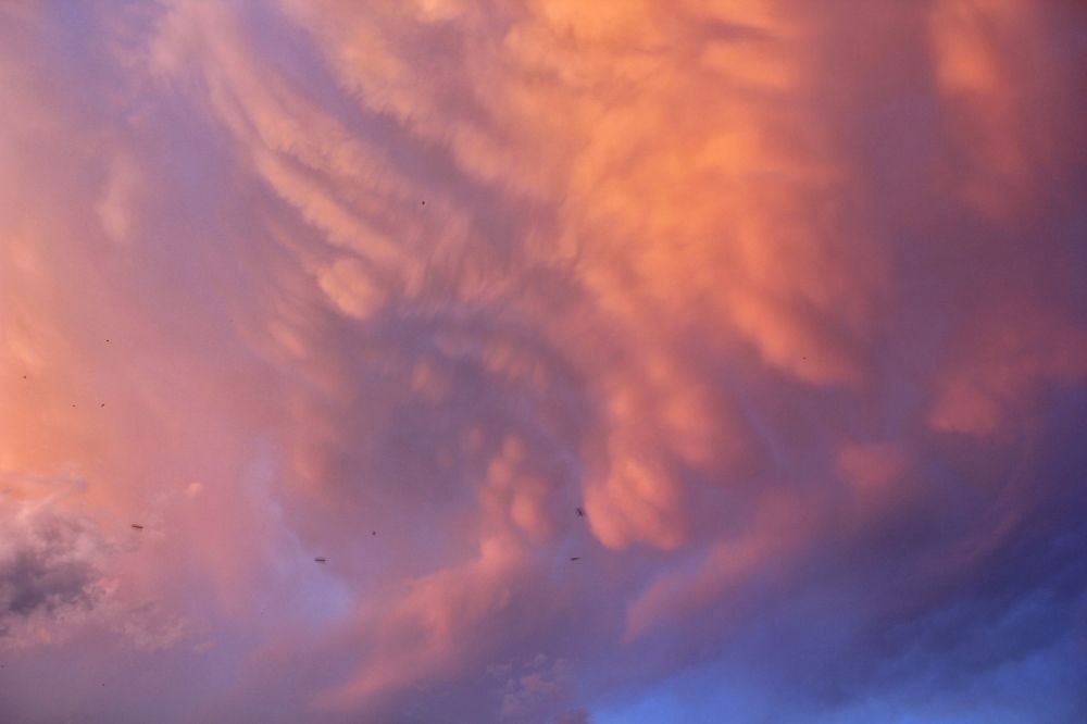 Photograph by Анна Любимова