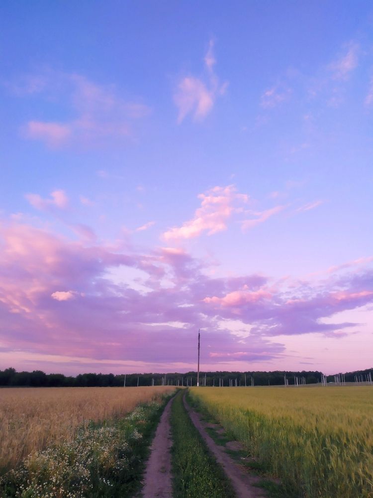 Photograph by Ольга Чернова