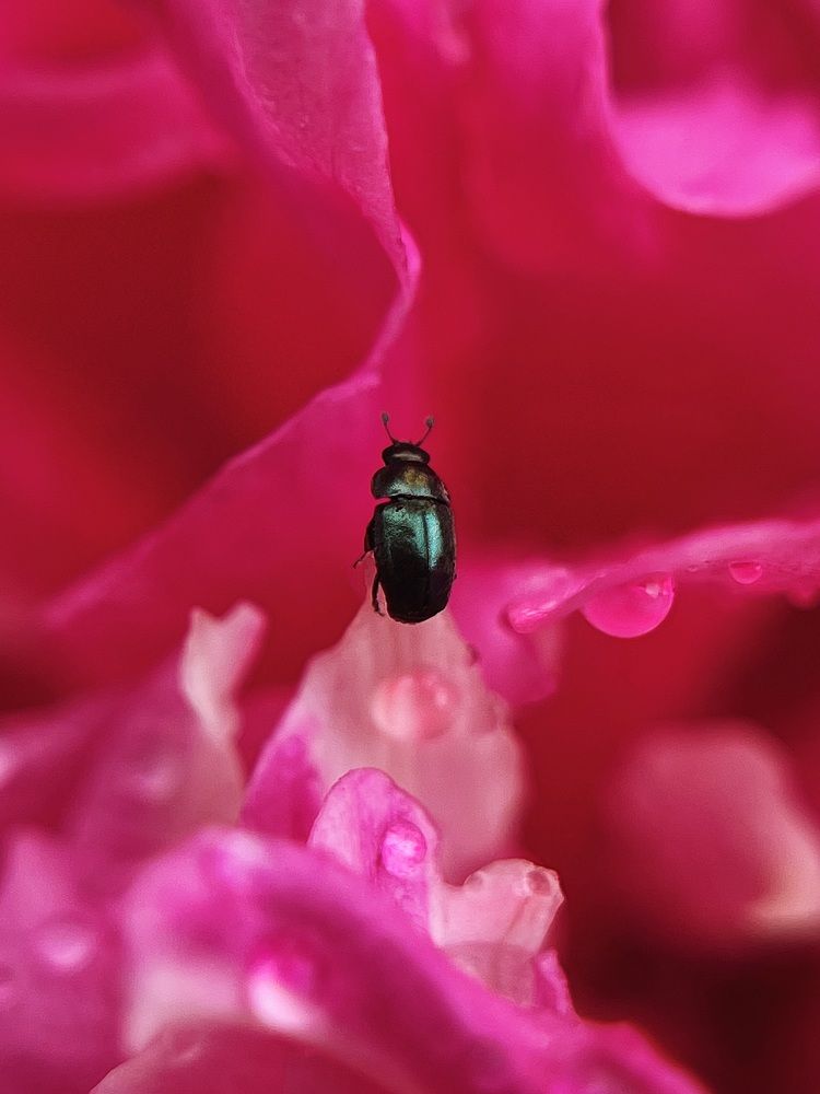 Фотография автора Катерина Иванова