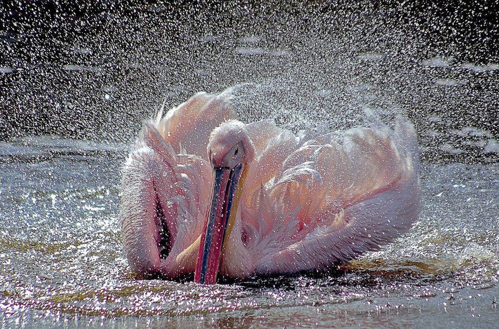 Photograph by Александр