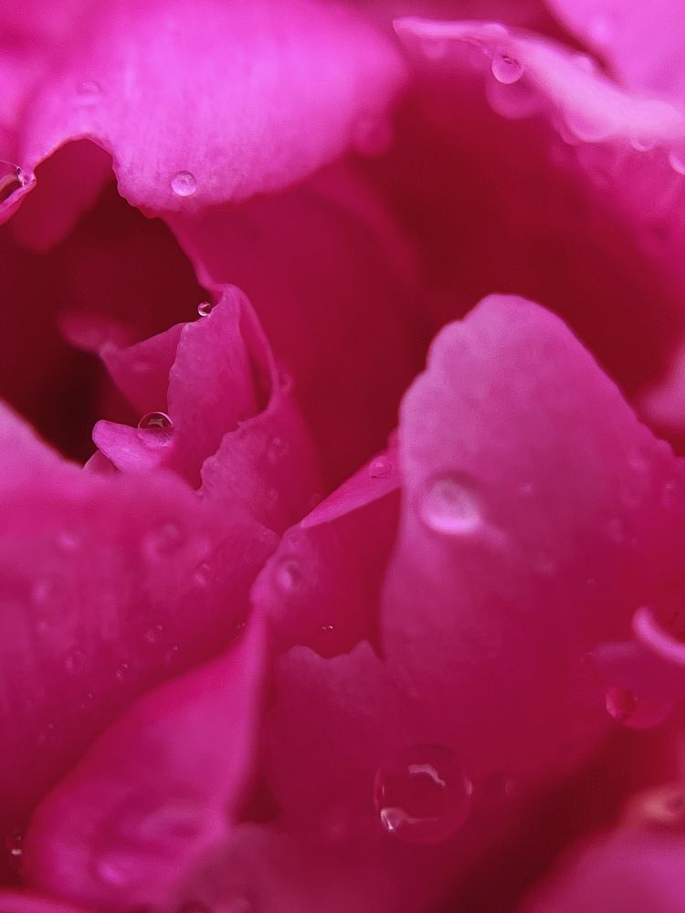 Фотография автора Катерина Иванова