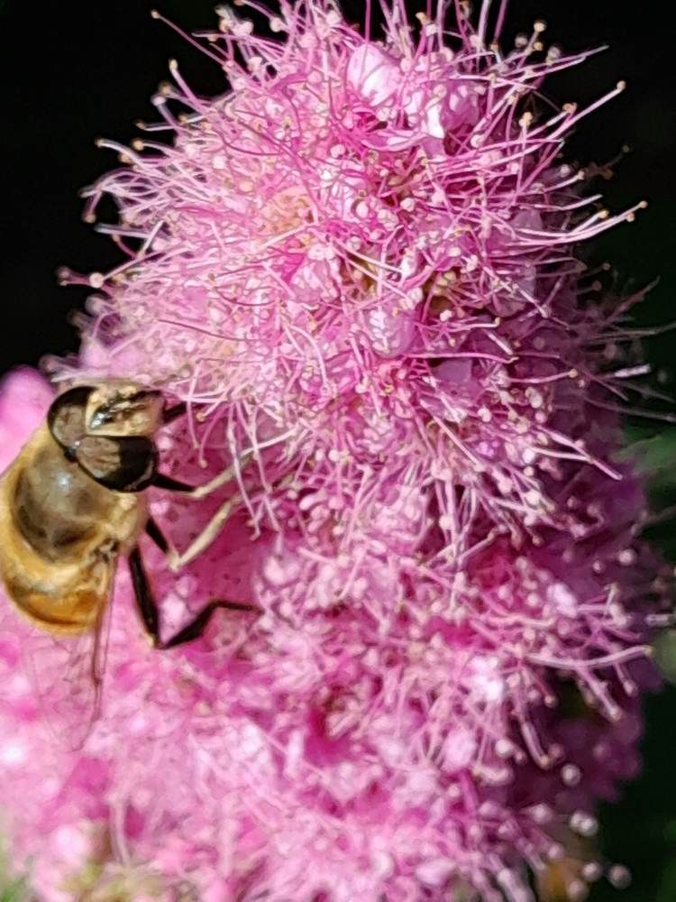 Photograph by Виталий