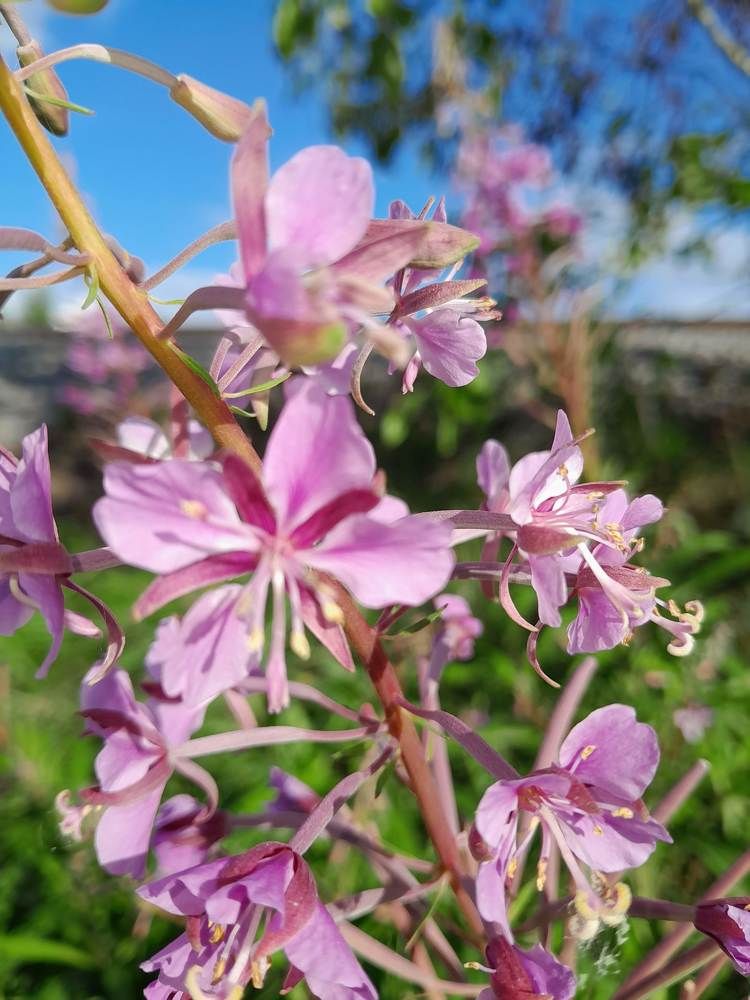 Photograph by Виталий