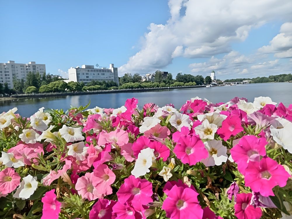 Цветы, набережная