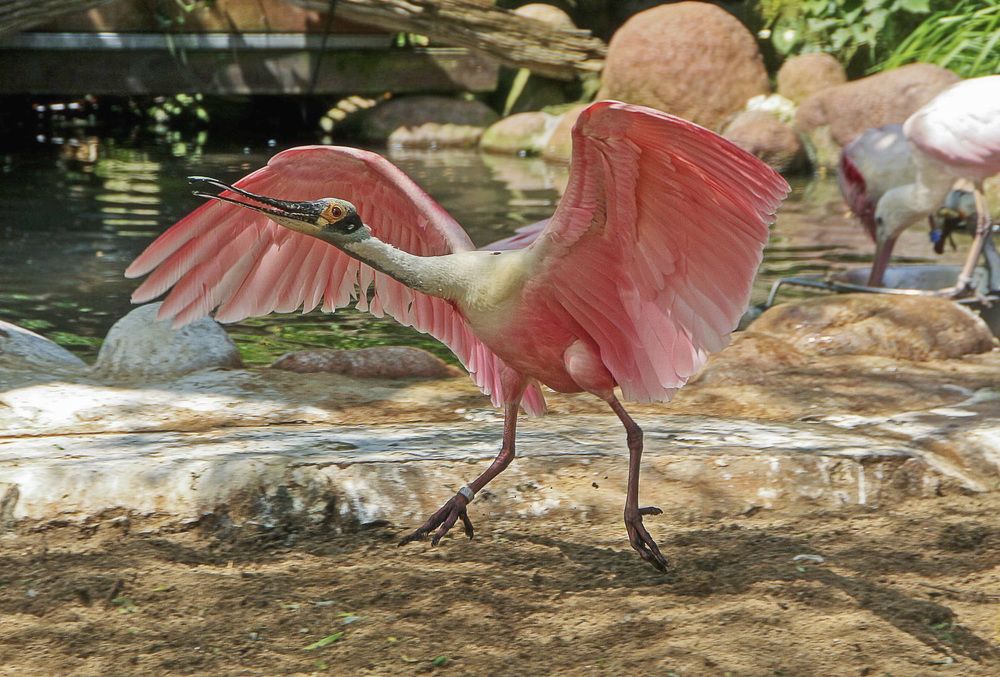Фотография автора Александр