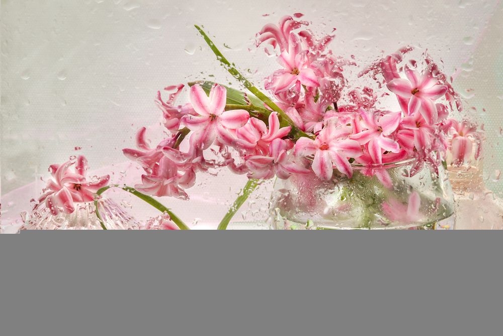 Photograph by Шруб (Беляева) Татьяна