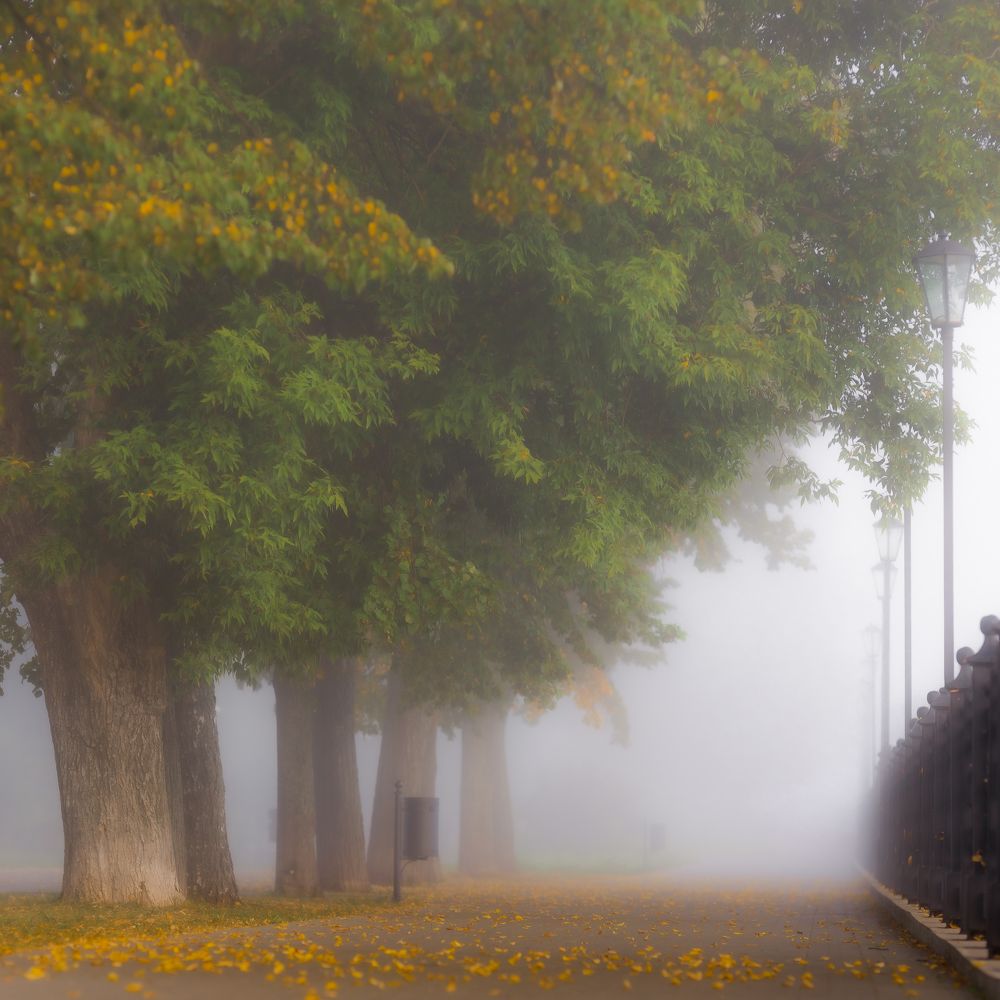 Photograph by Vladimir Petukhov