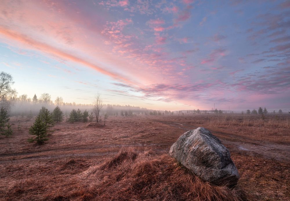 Photograph by Алексей Турчин