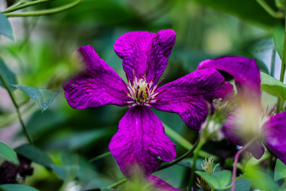 Photograph by Мария Пояскова