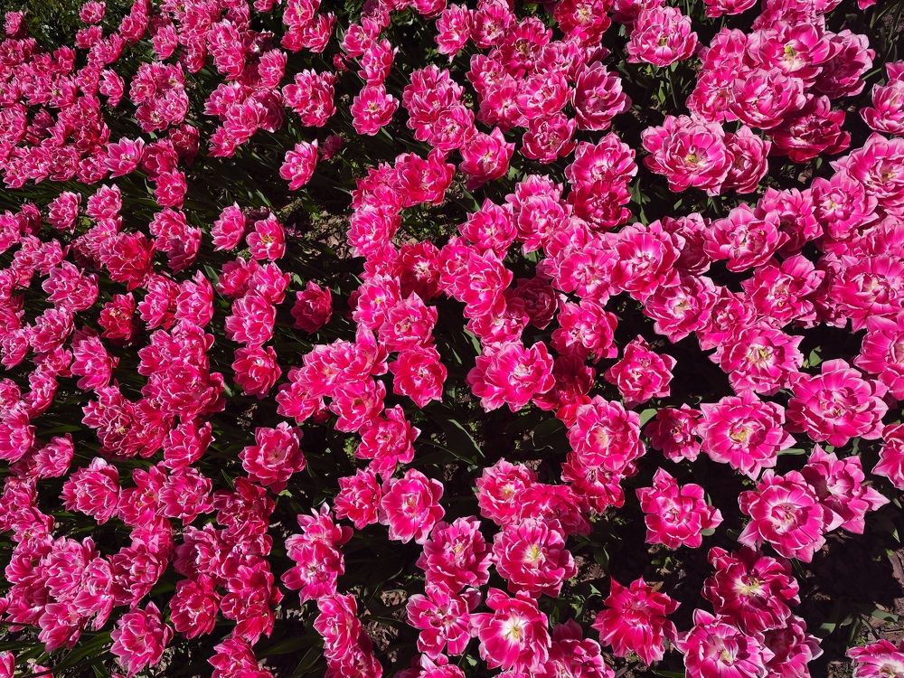 Photograph by Громова Мария