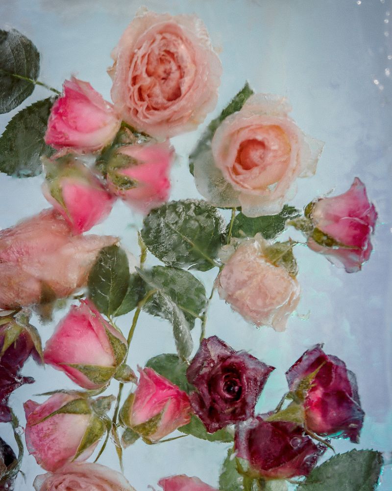 Photograph by Angelina Bukina