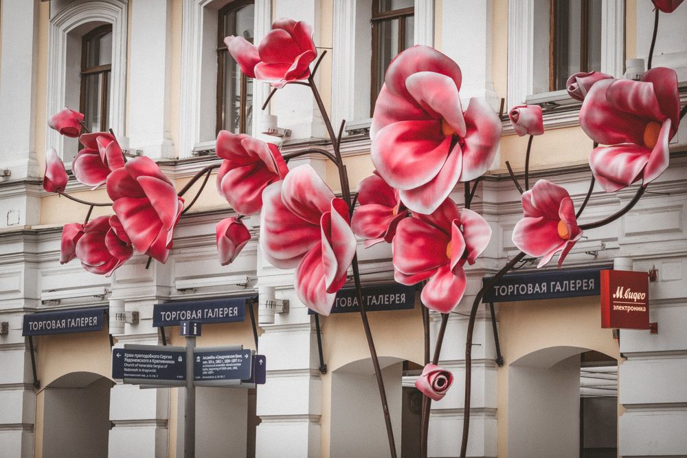 Photograph by Angelina Bukina