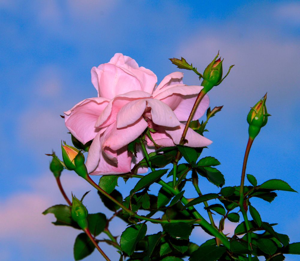 Photograph by Громова Мария