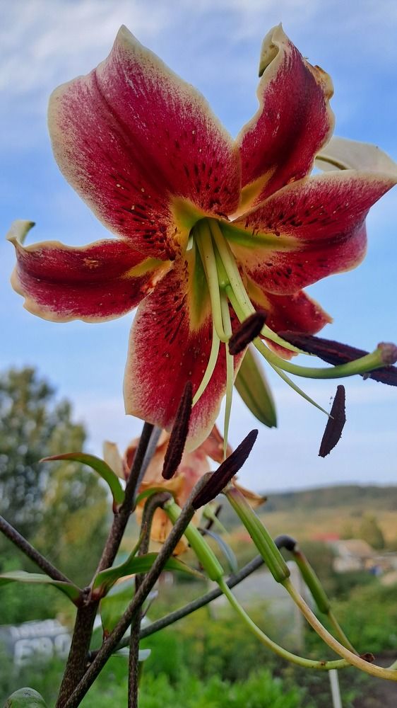 Photograph by Николай Худяков