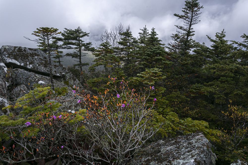 Photograph by ALEKSANDR KUZNETSOV