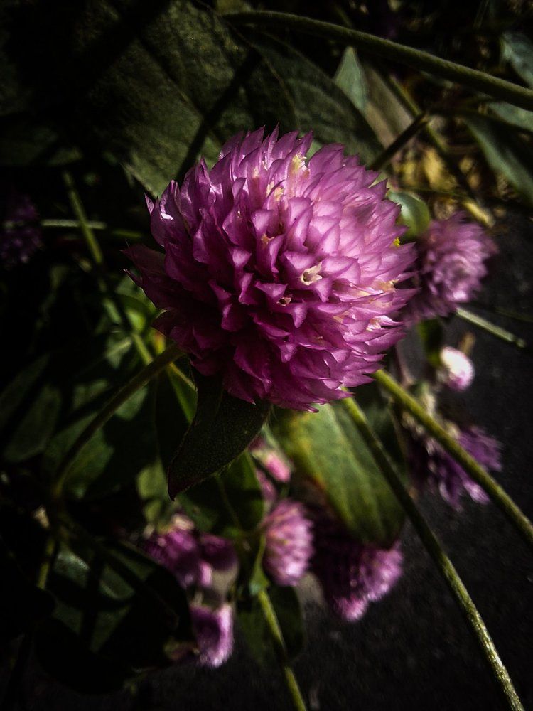 Photograph by Ivan Goshtanar