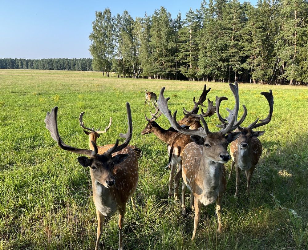 Photograph by Анастасия Стасевич