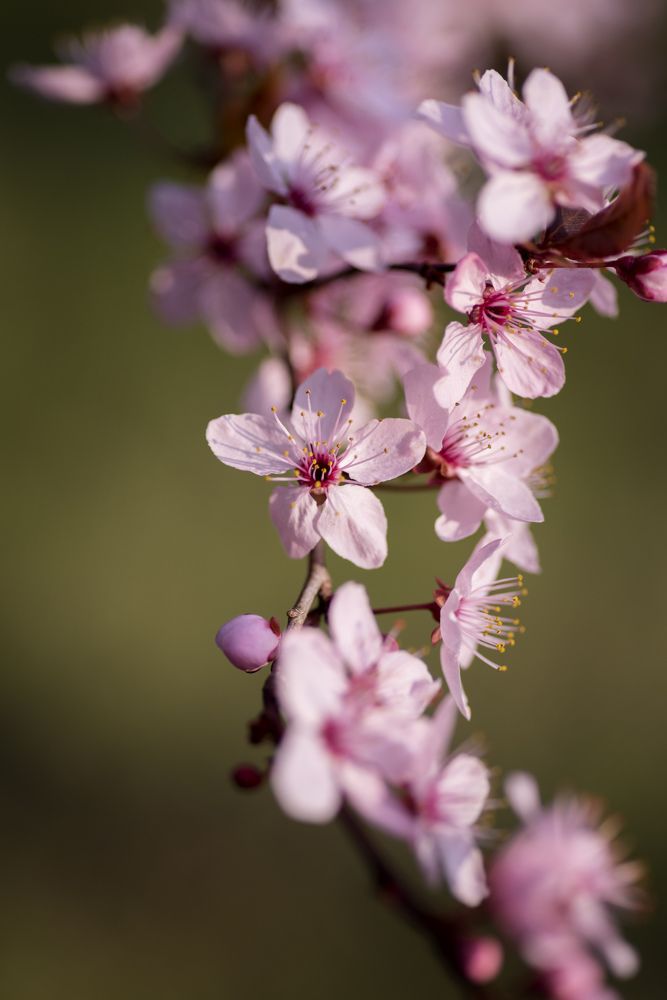 Фотография автора Krisztina Kaposvari