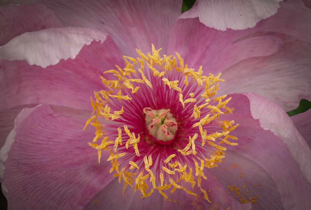 Photograph by Дария Максимова