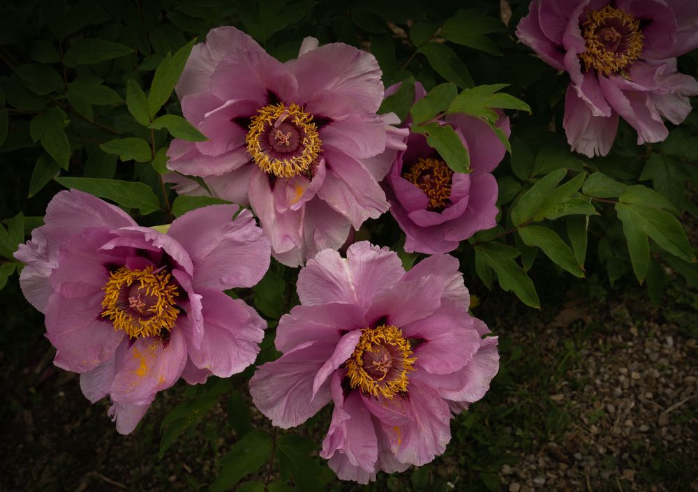 Photograph by Дария Максимова