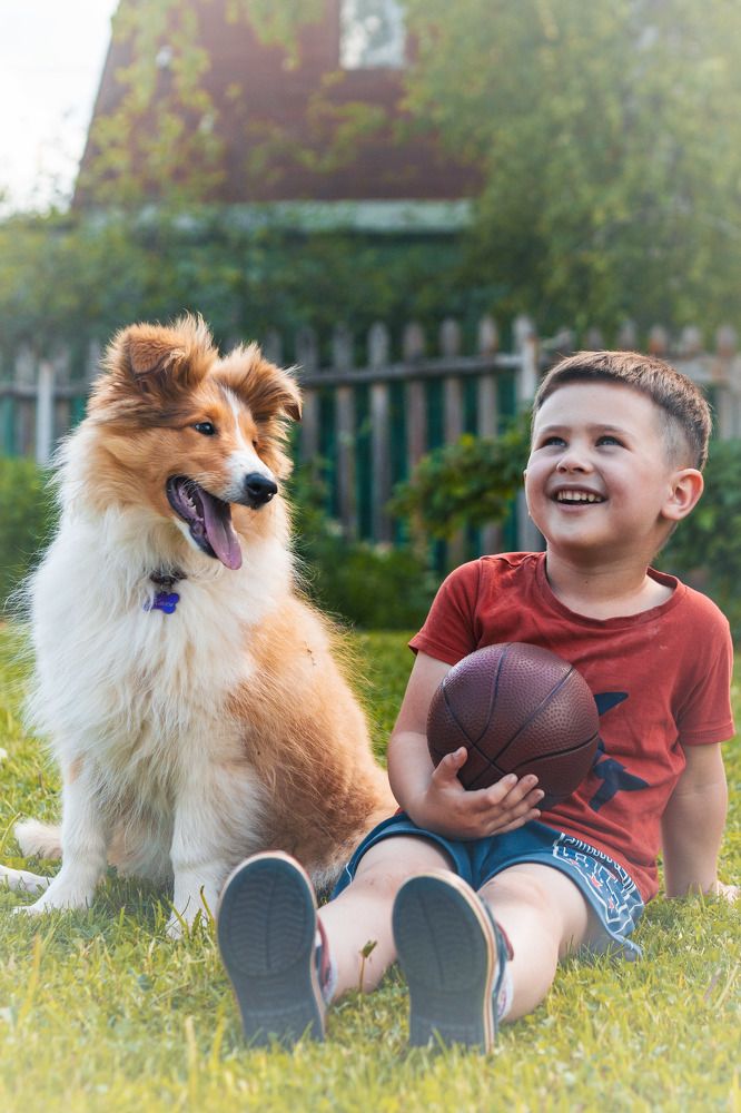 Photograph by Татьяна Чечелева