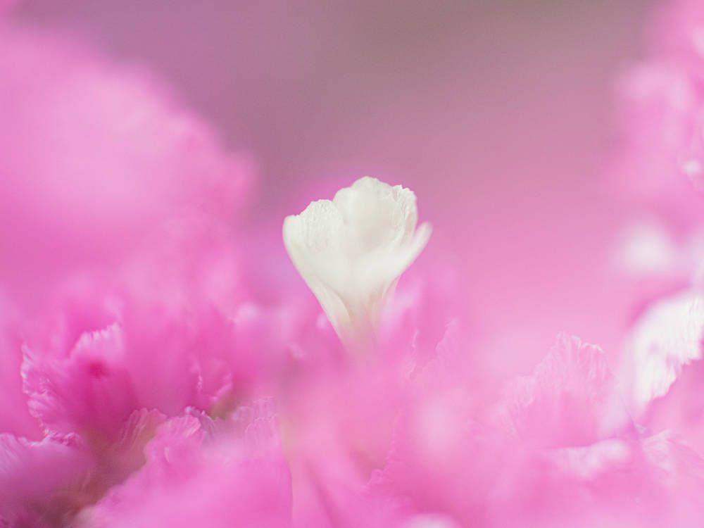 Photograph by Ирина Протченко