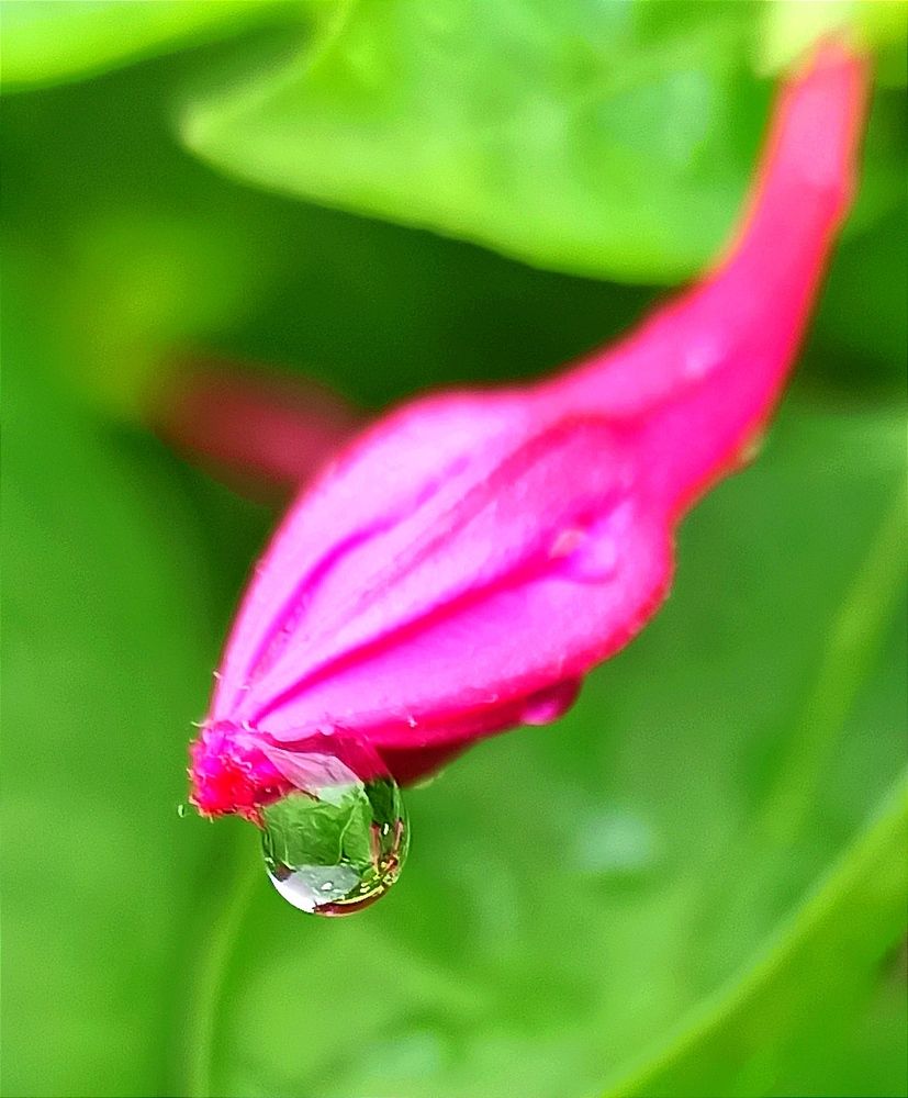 Photograph by Ольга Тихонова