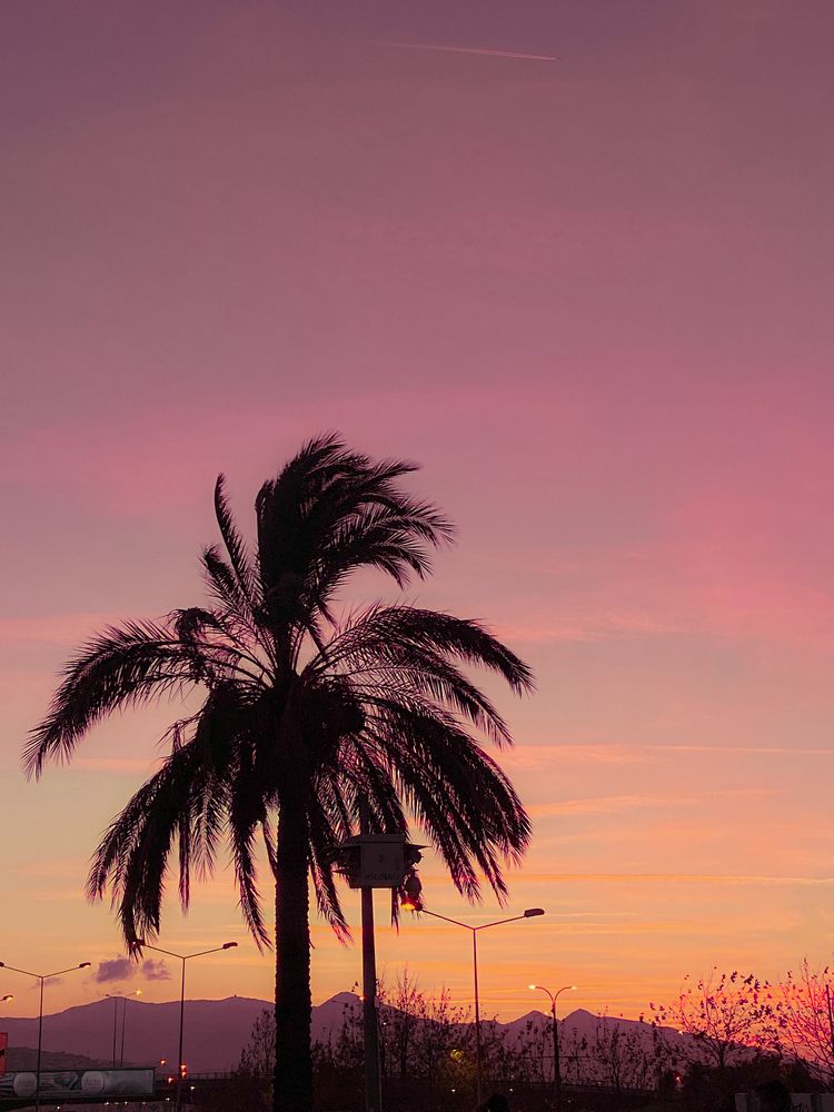 Photograph by Анастасия Сартакова