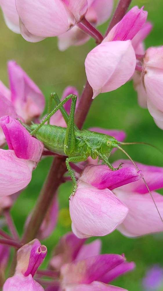 Фотография автора Марина Алексеевская