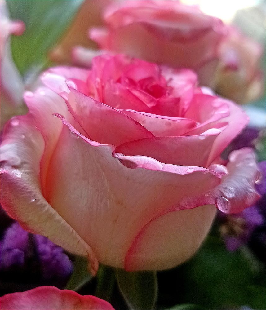 Photograph by Ольга Тихонова