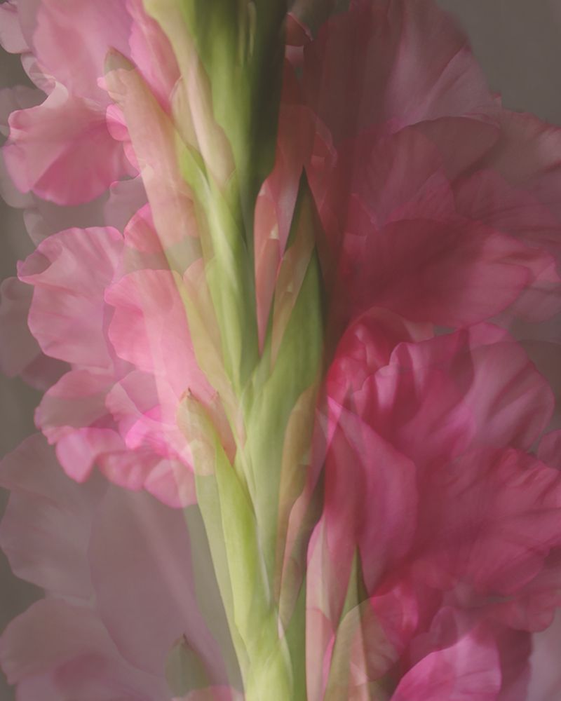 Photograph by Екатерина Кузнецова