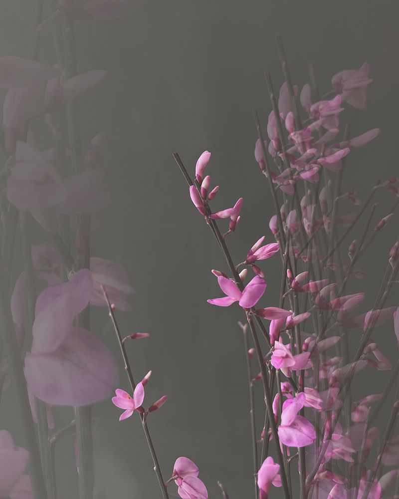 Photograph by Екатерина Кузнецова