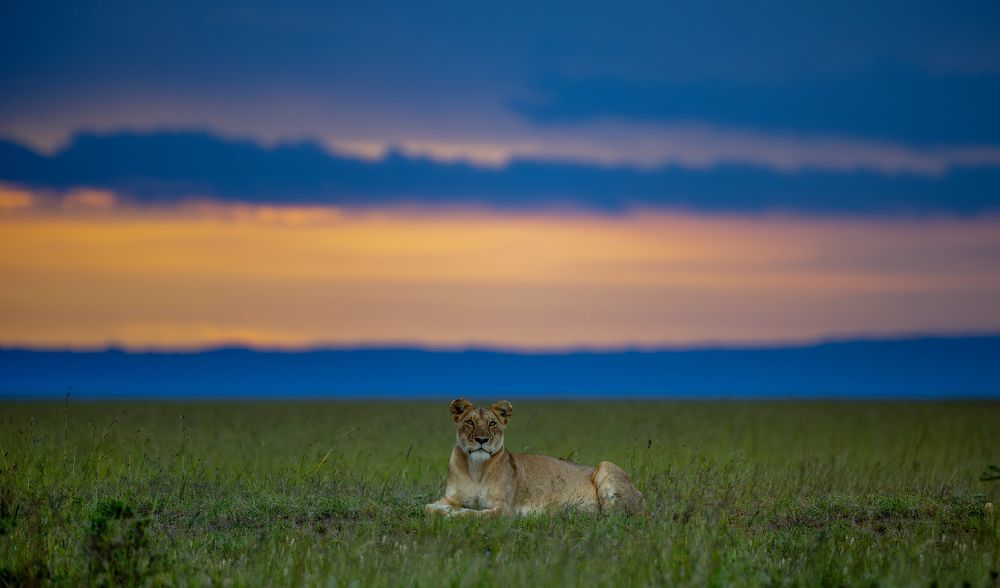 Guardging The Teritory