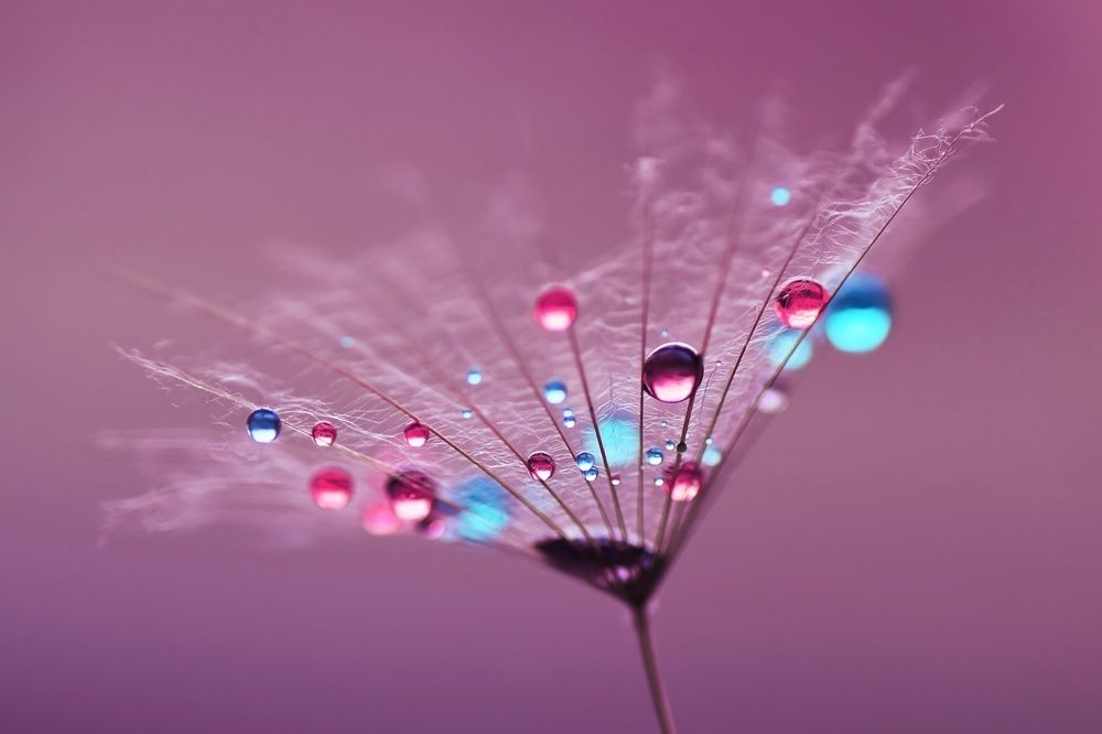 Photograph by Лапшина Владлена