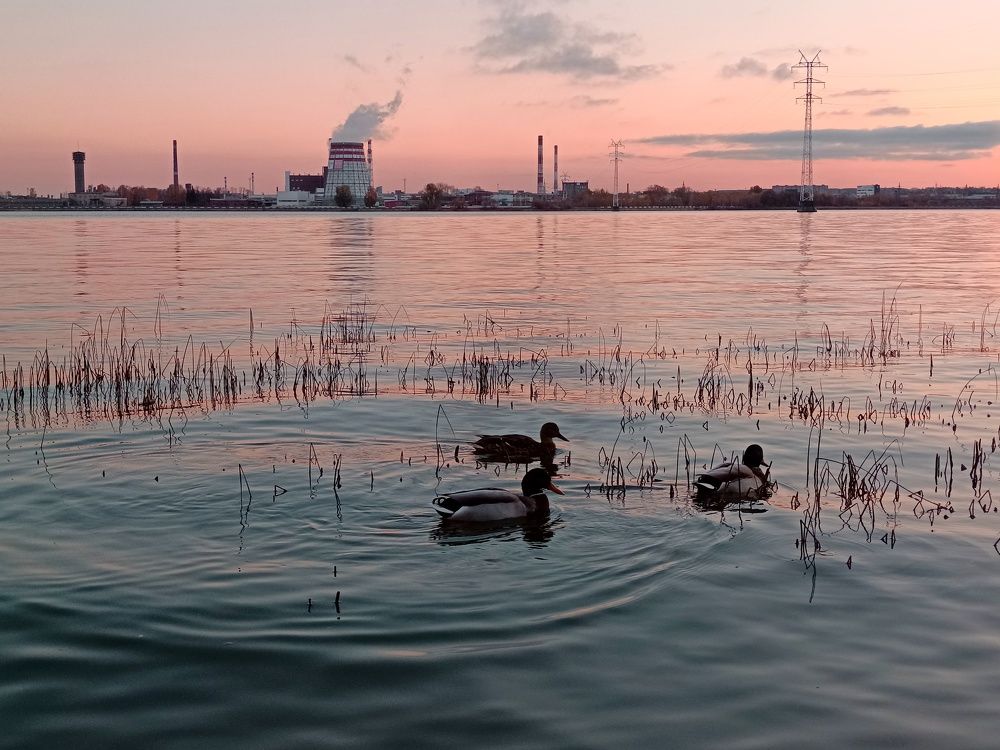 Фотография автора Ольга Кунакова