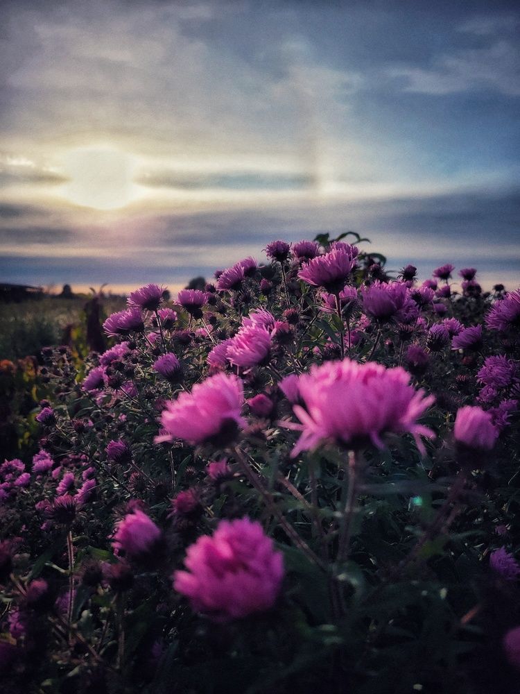 Photograph by Алина