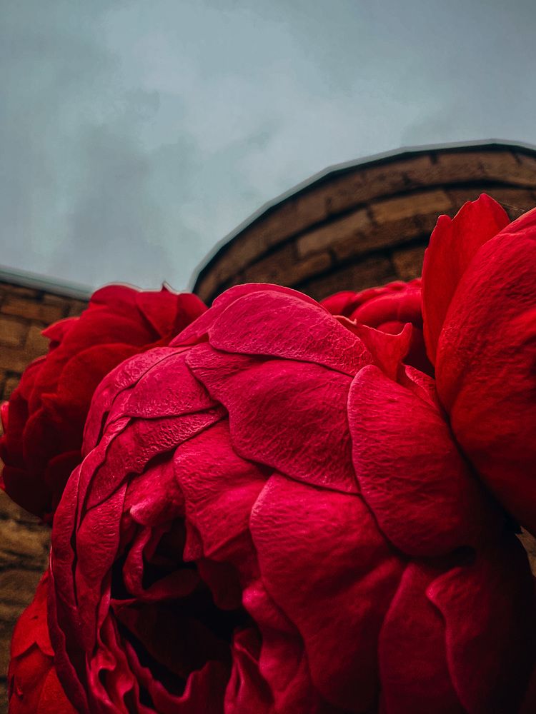 Photograph by Мария Бурик