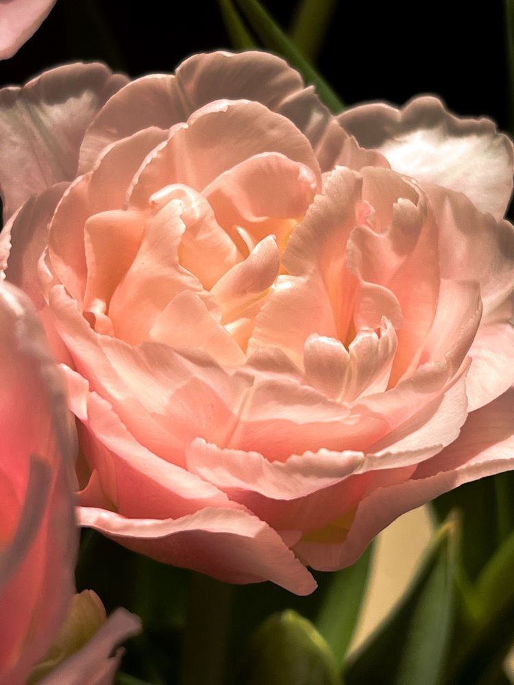 Photograph by Мария Бурик