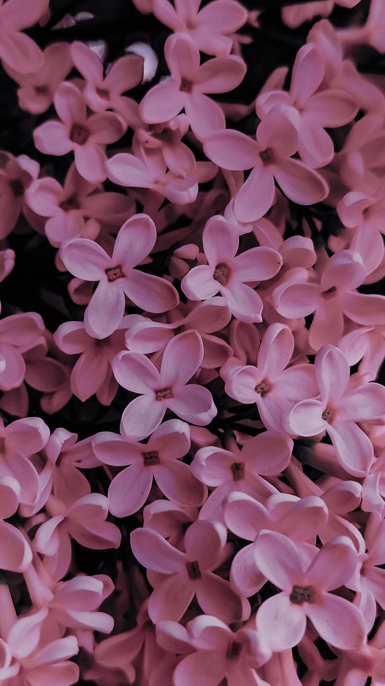 Photograph by Ирина Львова