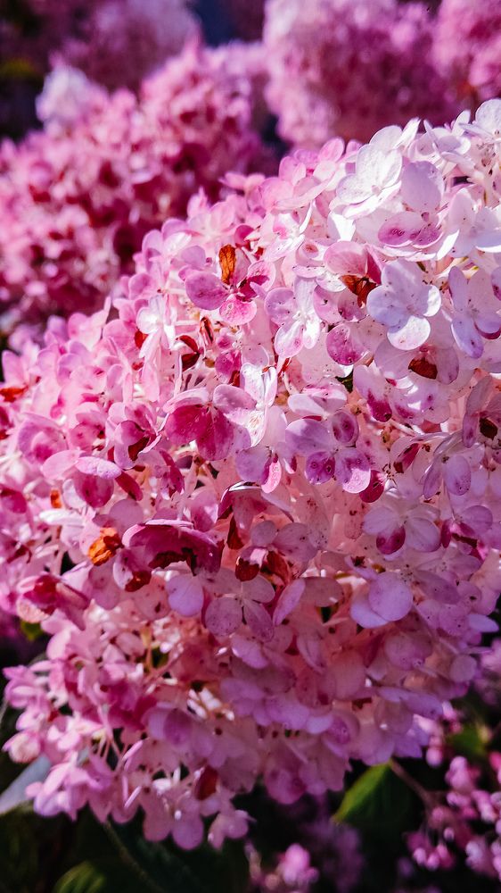 Photograph by Ирина Львова