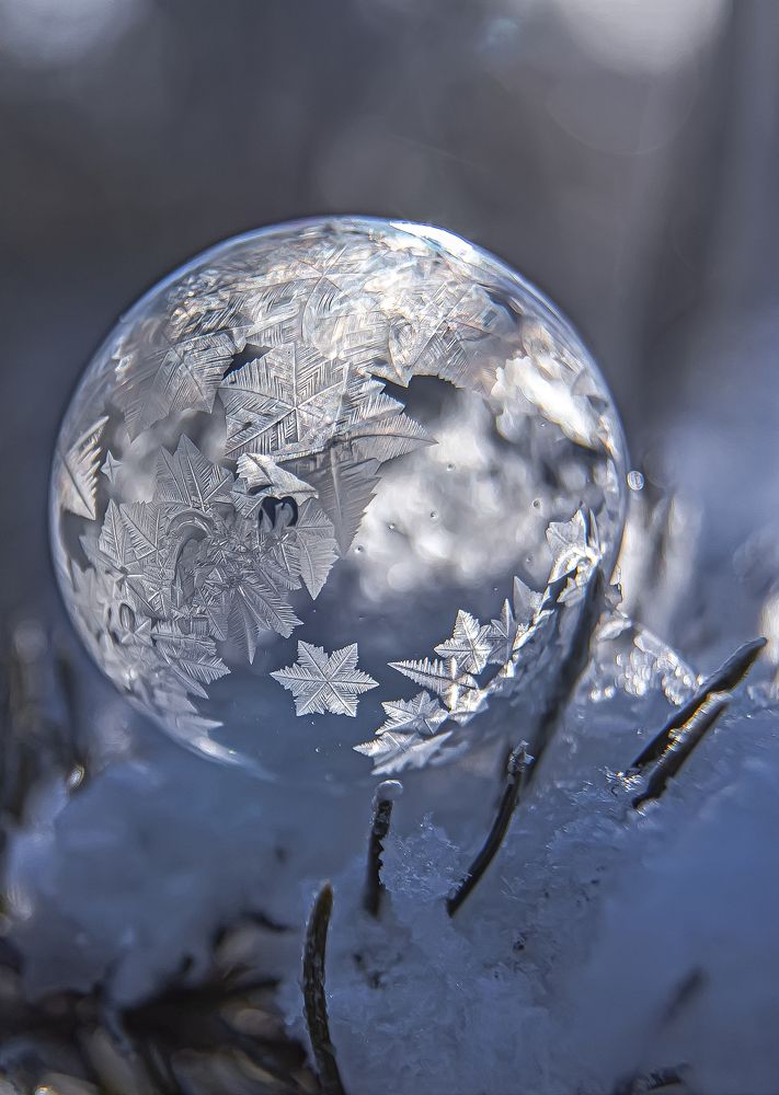 Photograph by Галина Мозолевская